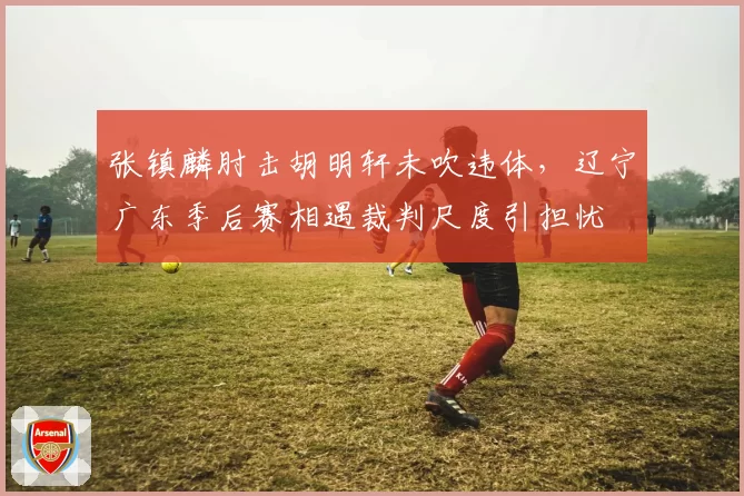 张镇麟肘击胡明轩未吹违体，辽宁广东季后赛相遇裁判尺度引担忧