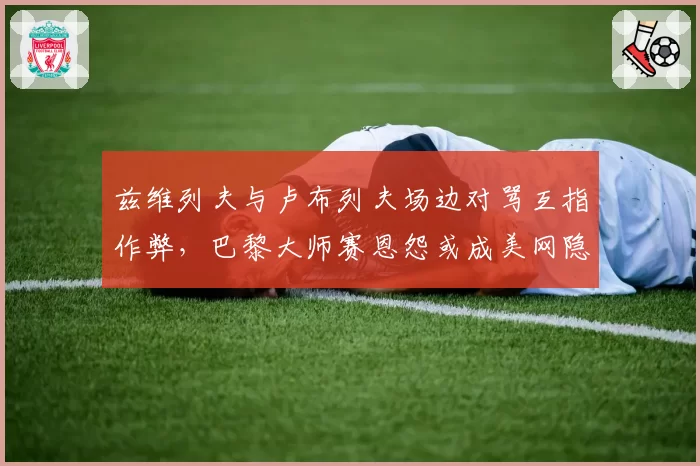 兹维列夫与卢布列夫场边对骂互指作弊，巴黎大师赛恩怨或成美网隐患