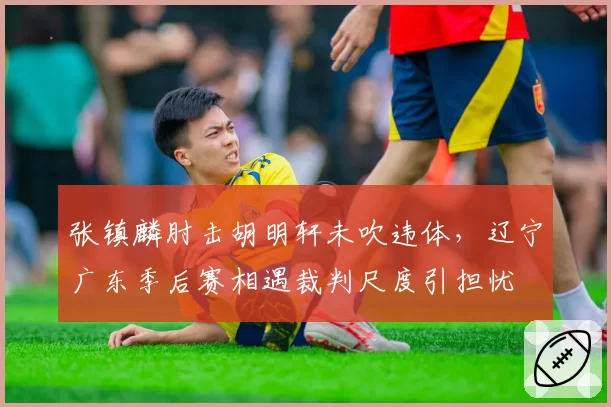 张镇麟肘击胡明轩未吹违体,辽宁广东季后赛相遇裁判尺度引担忧