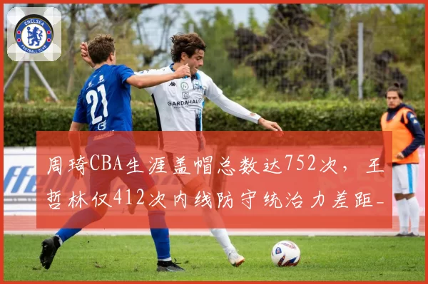 周琦CBA生涯盖帽总数达752次,王哲林仅412次内线防守统治力差距__br_